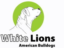 Logo White Lions